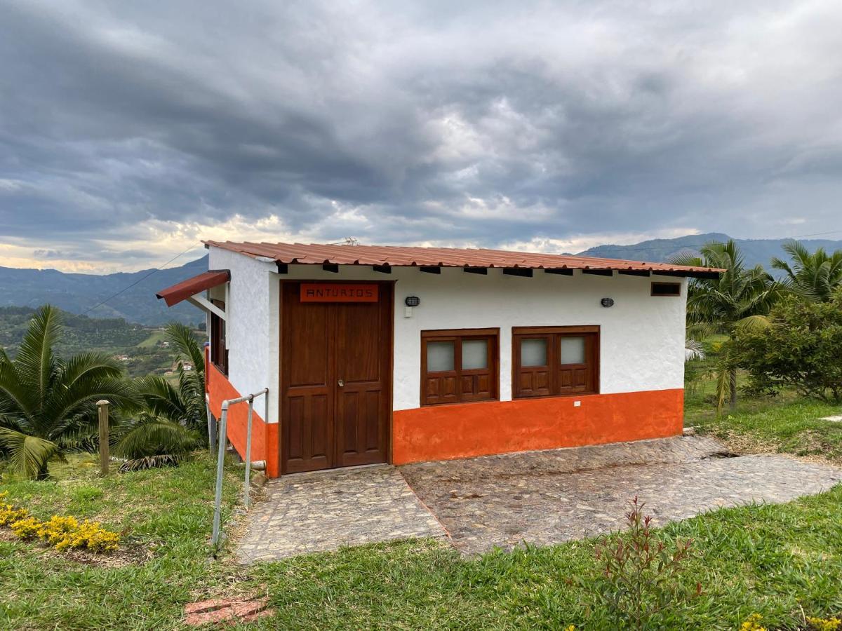 Cabanas Y Flores Jericoc  Luaran gambar